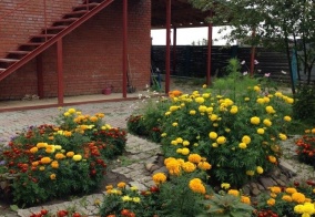 Турбаза Лукоморье в Томской области