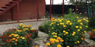 Победа: Турбаза Лукоморье