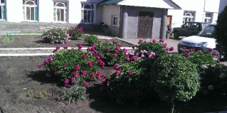 Чапаевск: Отель Гостиный двор