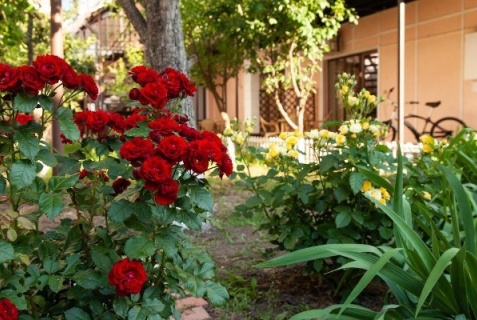 Ейск: Коттедж Мой дом