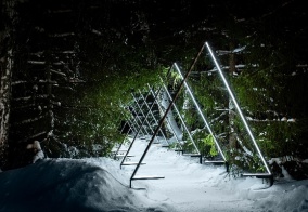 Отель Сосновый бор в Новосибирске