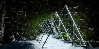 Новосибирск: Отель Сосновый бор