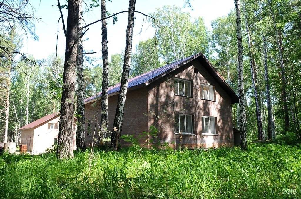 Поселок серебряный. Новосибирск серебрянный лес. КП серебряный лес Новосибирск. Серебряный лес СНТ. Мочищенское шоссе коттеджный поселок.