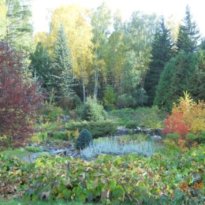 Фото от владельца Центральный Сибирский Ботанический сад СО РАН