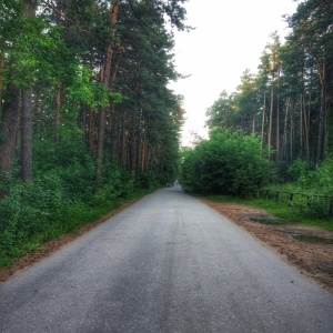 Фото от владельца Заельцовский, парк культуры и отдыха