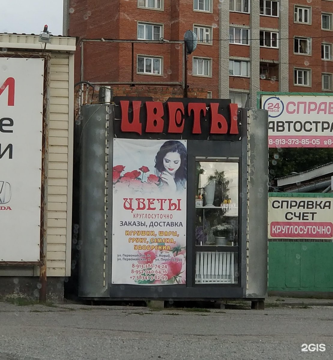 Хризантемы, цветы бердск доставка