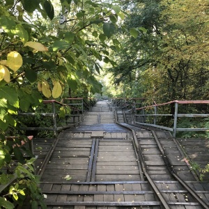 Фото от владельца Бугринская роща, парк культуры и отдыха