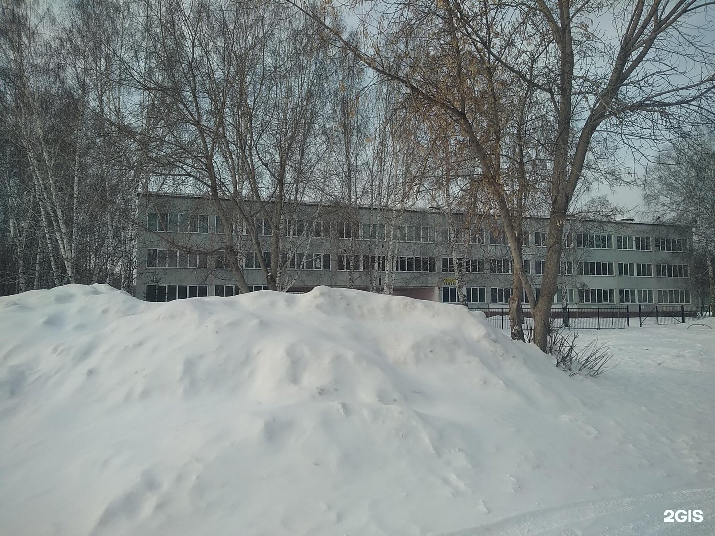 Отзывы школа бердск. Школа 5 Бердск. Школа 8 Бердск. Школа 5 Бердск учителя. 6 Школа Бердск.