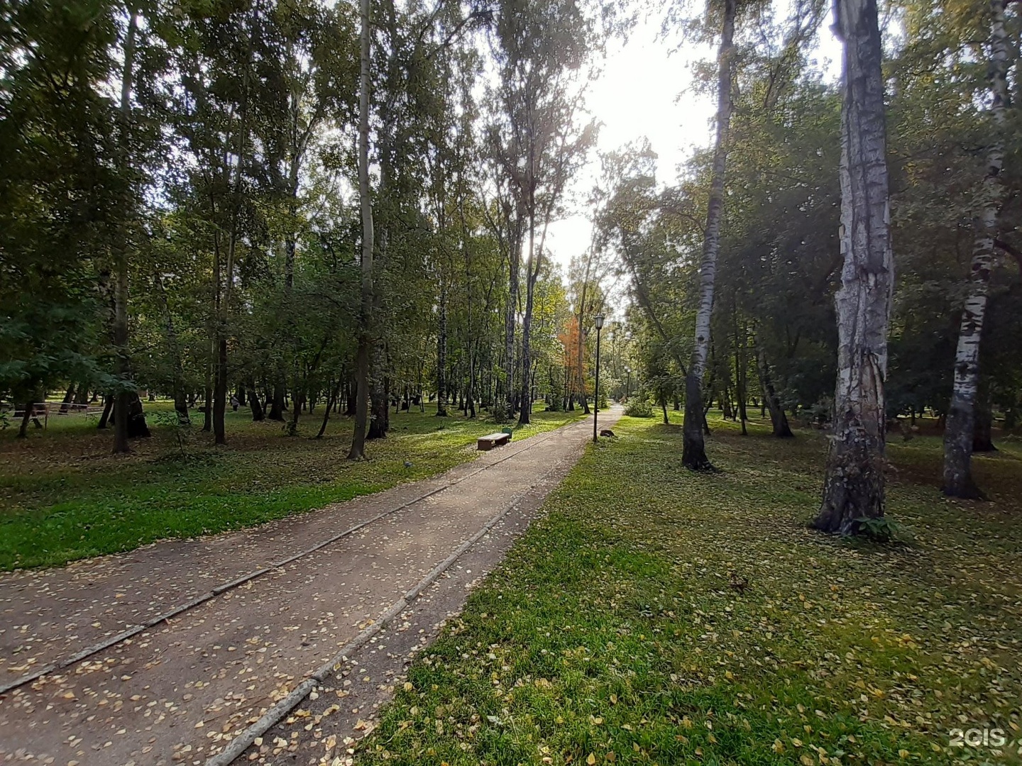 парк березовая роща новосибирск