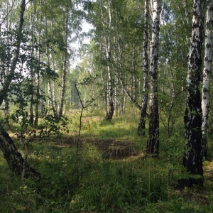 Фото от владельца Ладный Дом, ООО, группа компаний