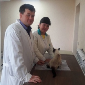 Фото от владельца Иркутская районная станция по борьбе с болезнями животных, ОГБУ