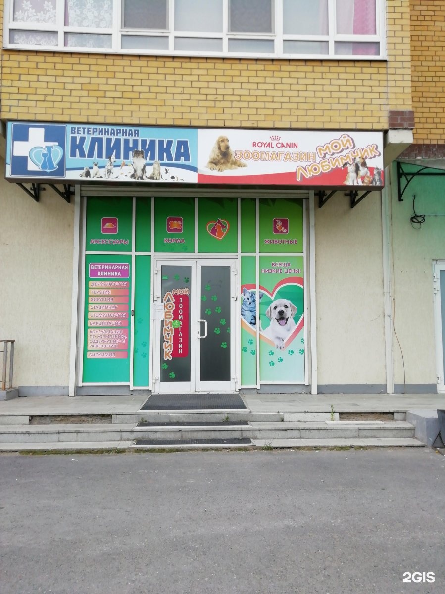 Ул. Мой любимчик тюмень. Мой любимчик тюмень. Тюмень харьковская улица, дом 54. Мой любимчик тюмень.