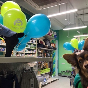 Фото от владельца Center Zoo, сеть зоомагазинов