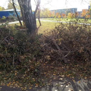 Фото от владельца Сад Победы, парк