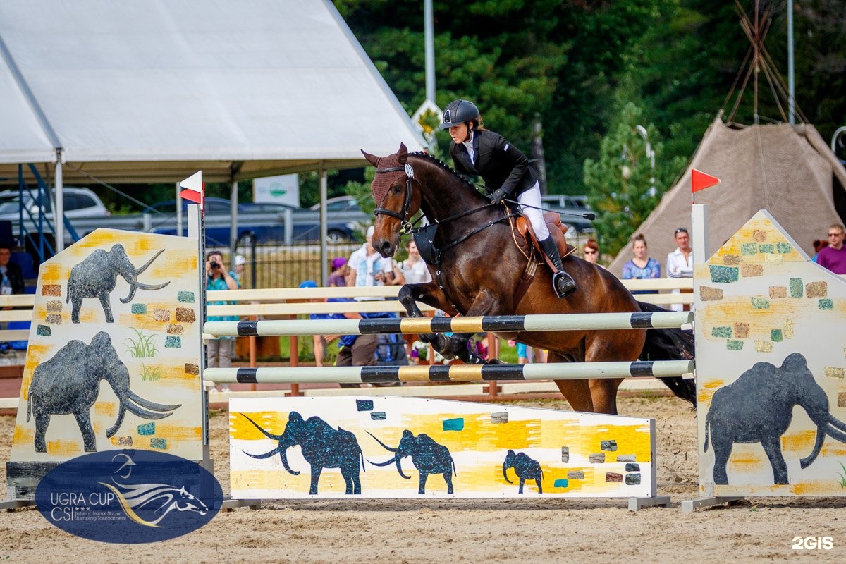 кск мустанг ханты-мансийск. ханты мансийск мустанг конный спорт. конно-спортивный клуб мустанг ханты-мансийск. конно-спортивный клуб мустанг ханты-мансийск. ханты мансийск мустанг конный спорт.