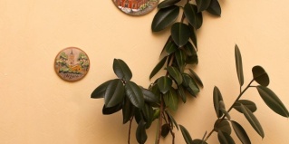 Пермь: Отель Регион 59