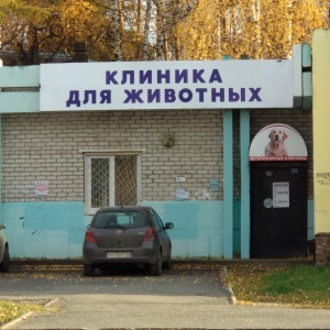 Фото от владельца Animal clinic, ветеринарная клиника