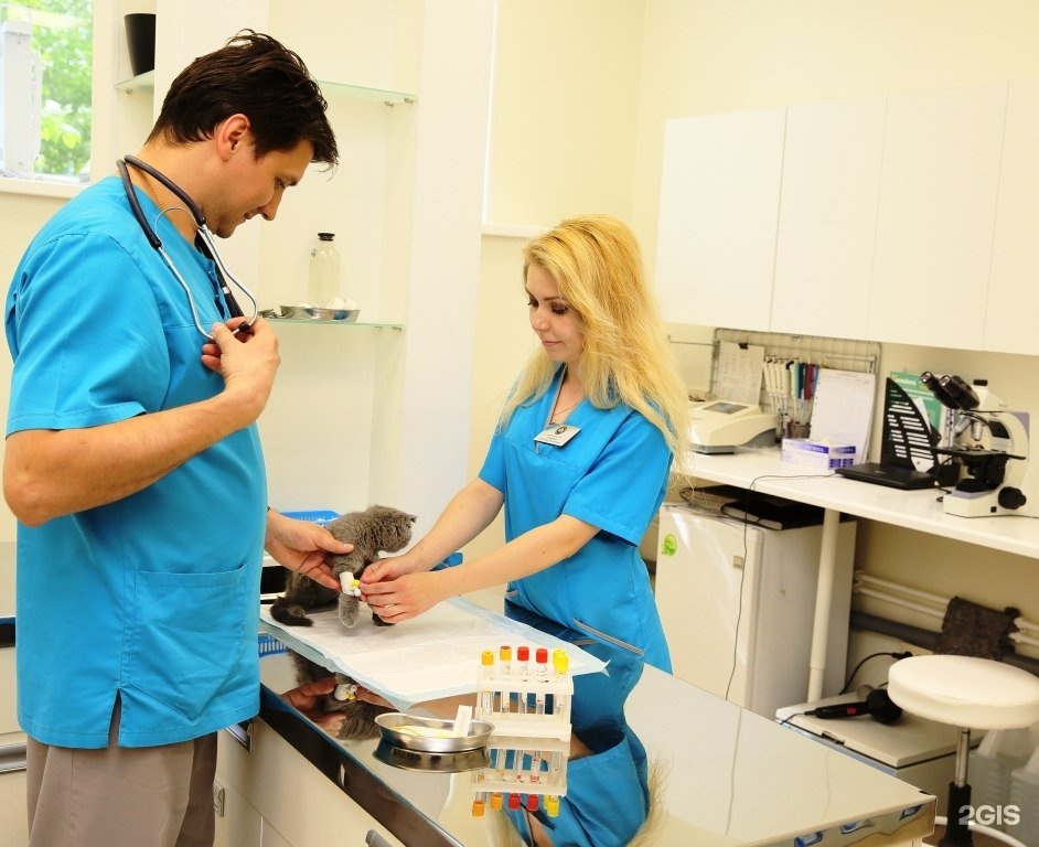 центр здоровья животных уфа