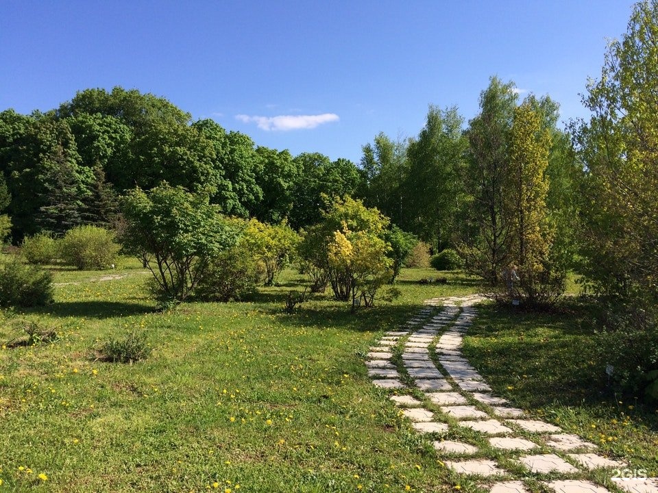 Фото в уфе ботанический сад