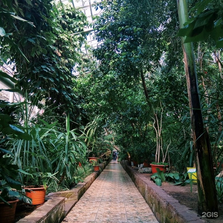 Сайт ботанического сада уфа