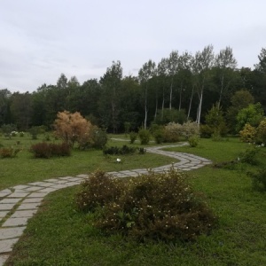 Фото от владельца Ботанический сад-институт, Уфимский научный центр РАН