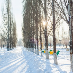 Фото от владельца Парк культуры и отдыха им. Ю.А. Гагарина