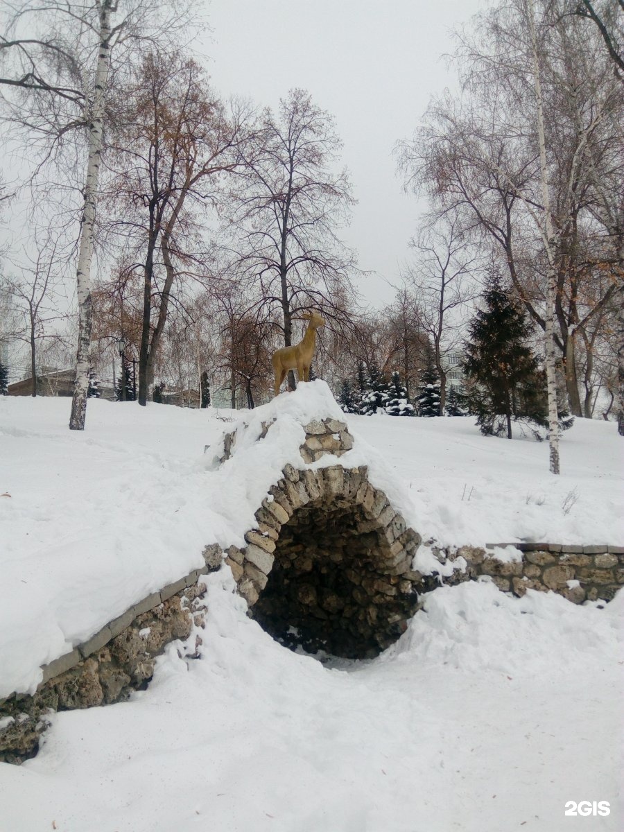 струковский парк в самаре