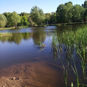 Фото от владельца Воронежские озера, парк