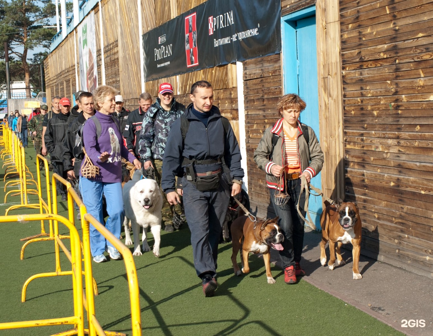 Клуб собаководства санкт петербург. Собаководства. Дом для собаководства. Клуб собаководства в городе Королев. Школа собаководства в Коломне.