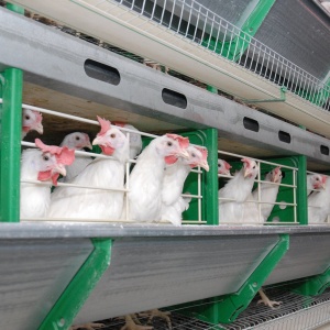 Фото от владельца Иртышское, ЗАО, киоск по продаже яиц