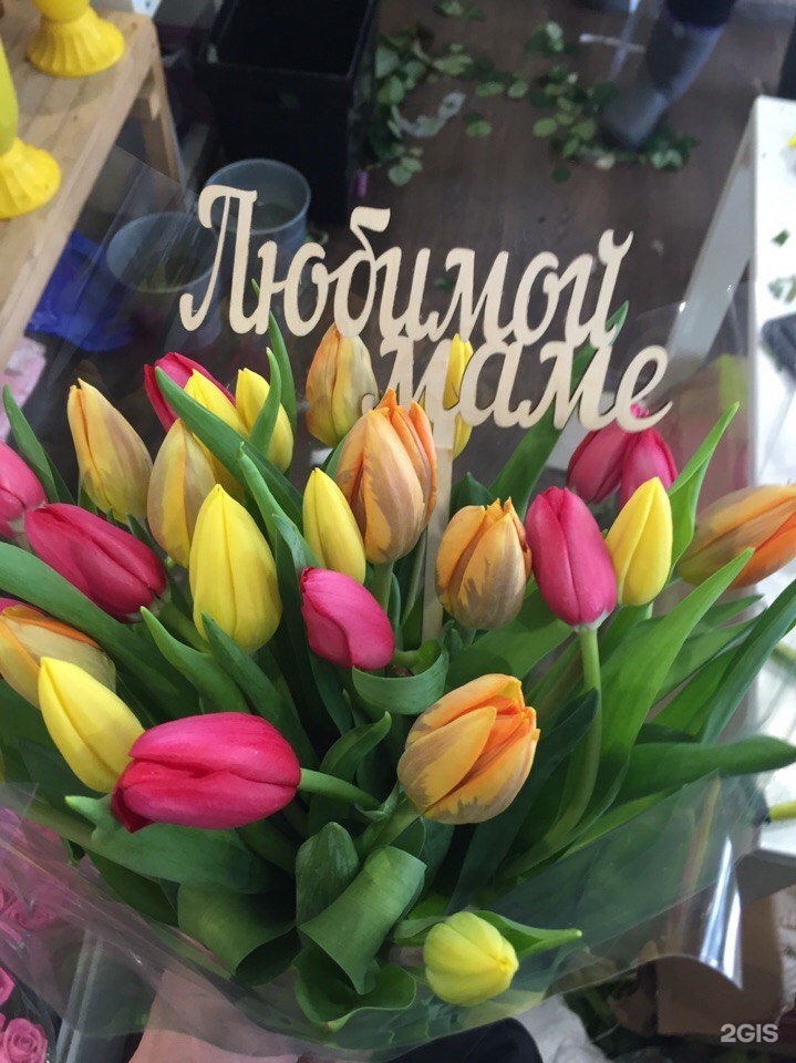 Точка цветочка тольятти. Точка цветочка.