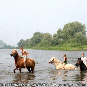 Фото от владельца Степное поле, клуб конного туризма