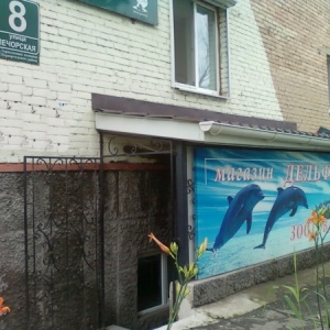 Фото от владельца Дельфин, магазин аквариумистики и зоотоваров
