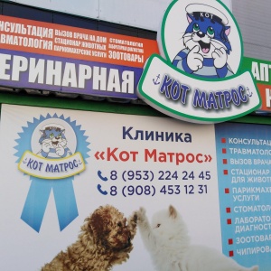 Кот димитровград