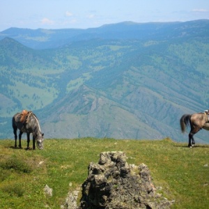 Фото от владельца Алтай-Актив-Тур, фирма по организации активных туров на Алтае