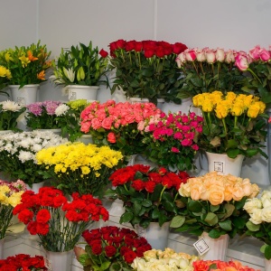 Фото от владельца Цветы под аркой, салон цветов