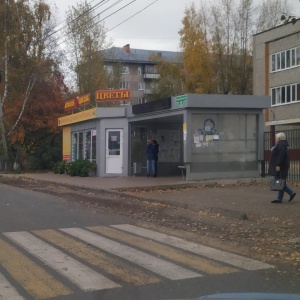 Фото от владельца Азалия, сеть цветочных салонов