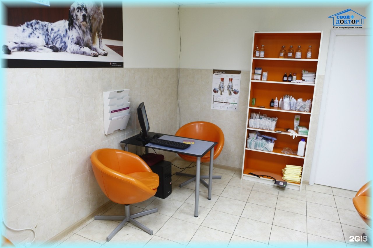 ветклиника котельниково. ветклиника котельниково. ветеринарная клиника покров. свой доктор хабаровск. свой доктор ветеринарная клиника котельники.