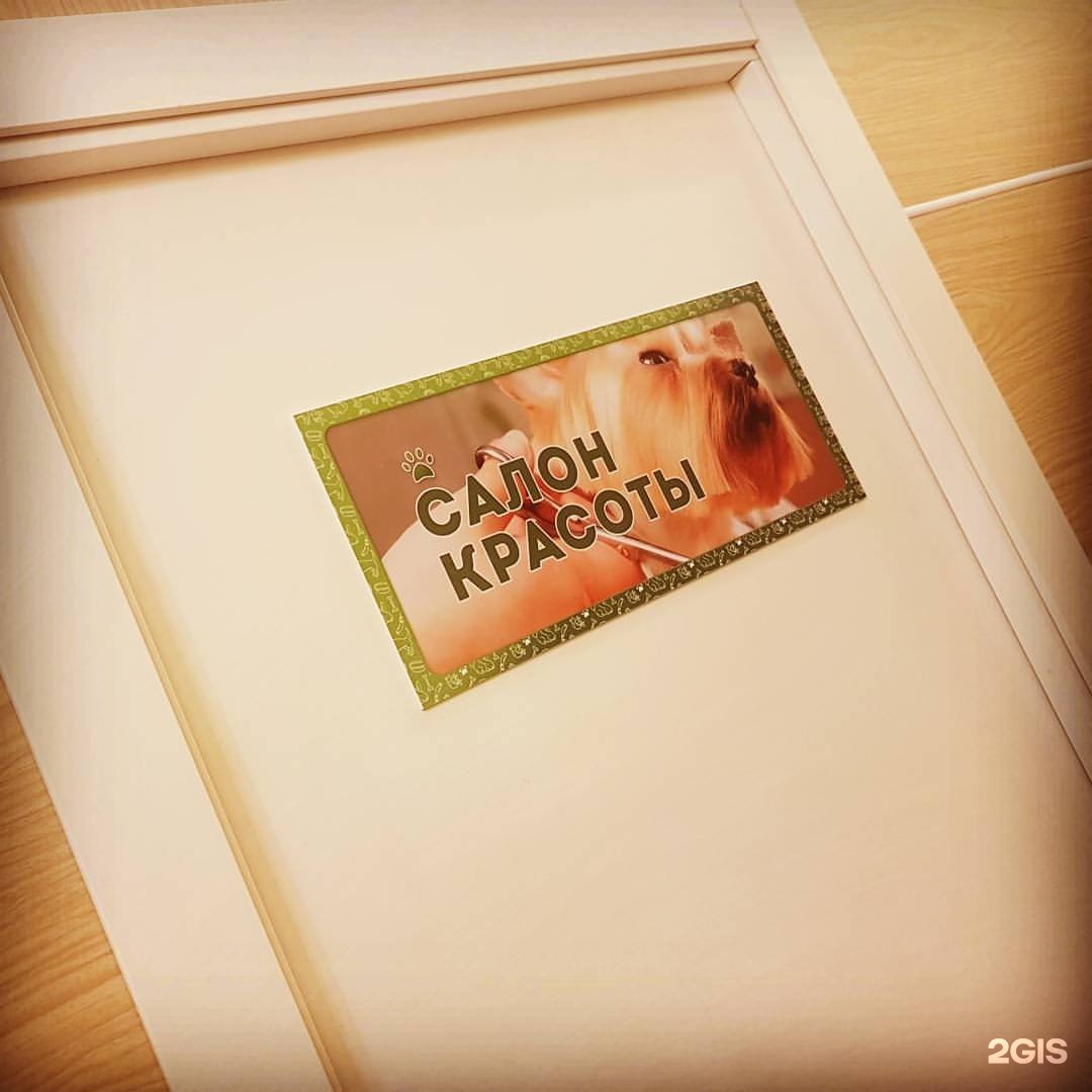 подарочный сертификат зоомагазин. хатико самый верный друг. хатико самый верный друг постер. зоосалон бульдог. зоосалон хэппи петс на королева.