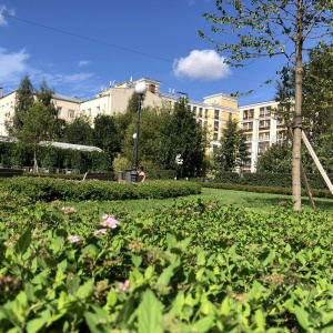 Фото от владельца Сад культуры и отдыха им. Н.Э. Баумана