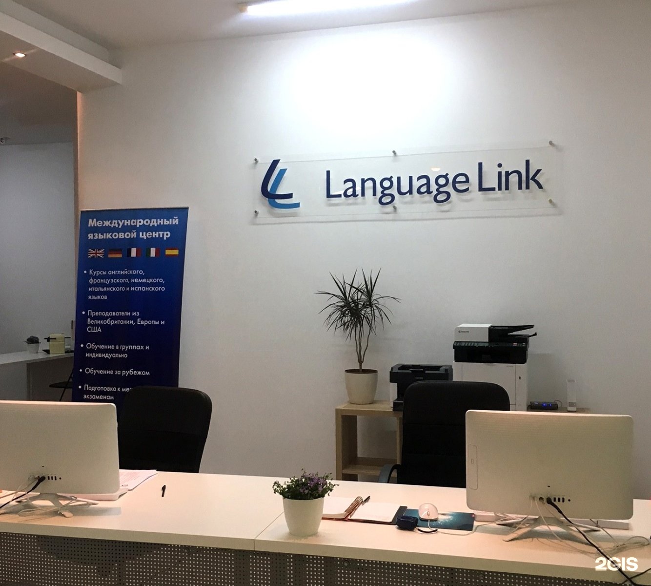 Link center. Языковой центр. Language link. Английский с language link. Language link логотип.