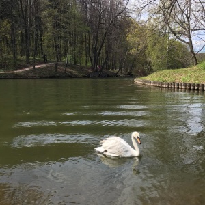 Фото от владельца Царицыно, парк культуры и отдыха