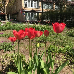 Фото от владельца Переделкино, кардиологический санаторный центр