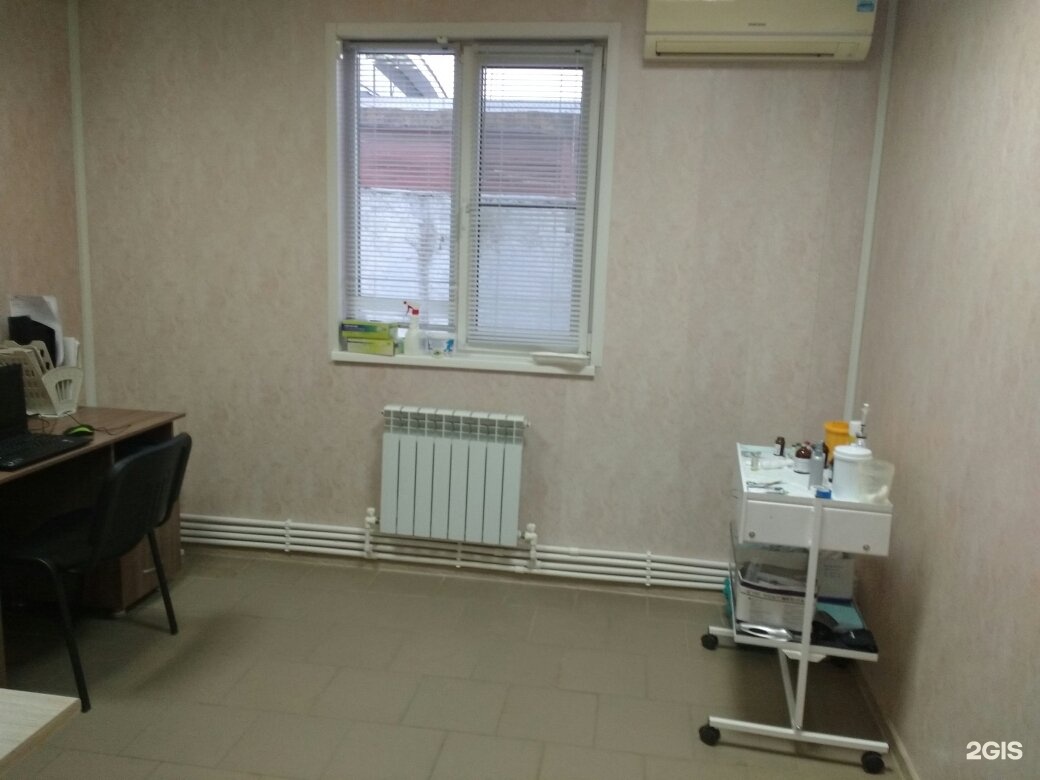 волжский проспект ленина 94. кис вет волжский. кис вет ветеринарная клиника. сотрудники кис вет в волжском на ленина 94 в. кис вет ветеринарная клиника волжский.