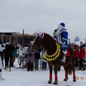 Фото от владельца Royal Horse, конный клуб