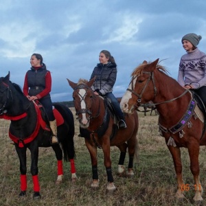 Фото от владельца Royal Horse, конный клуб