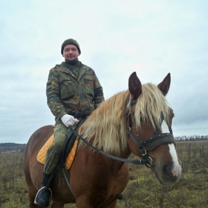 Фото от владельца Royal Horse, конный клуб