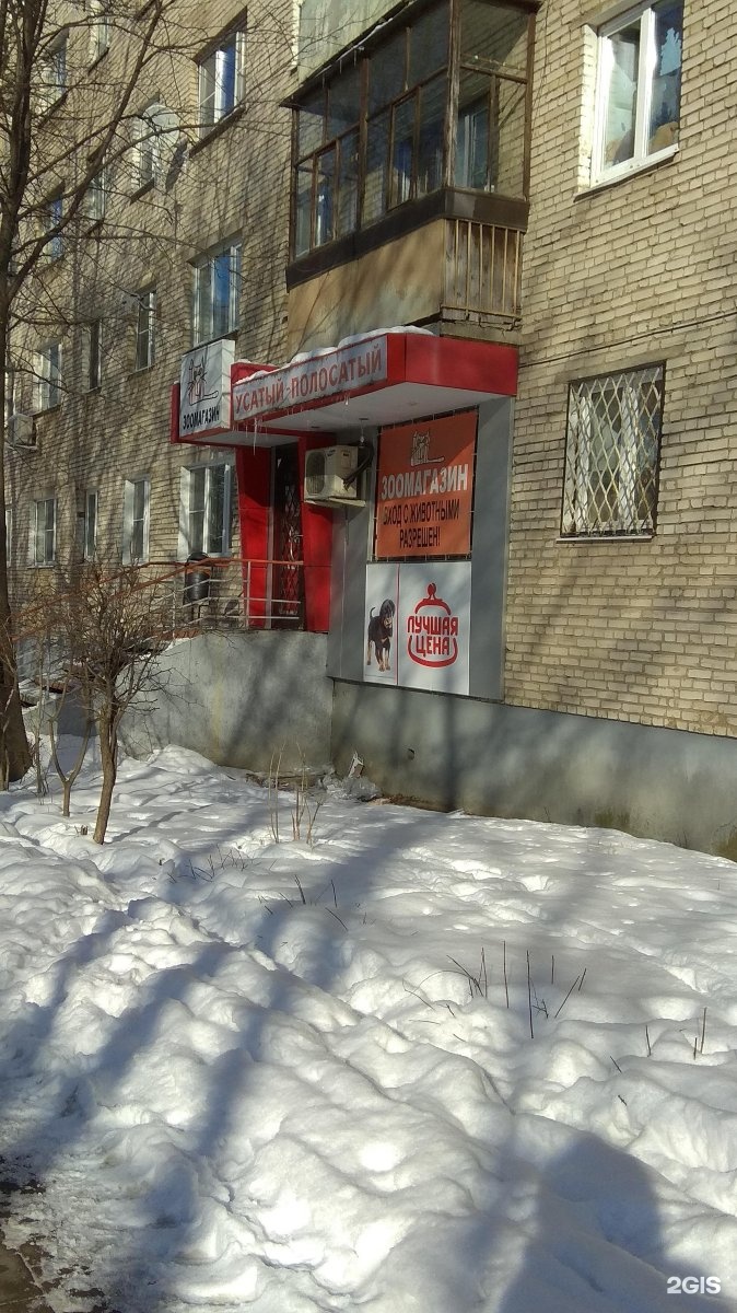 Усатый полосатый зоомагазин тула. Зоомагазин на Фрунзе Тула. Усатый полосатый зоомагазин Тула Колетвинова. Фрунзе 29 Тула