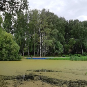 Фото от владельца Комсомольский, парк культуры и отдыха