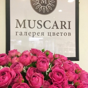 Фото от владельца MUSCARI, галерея цветов